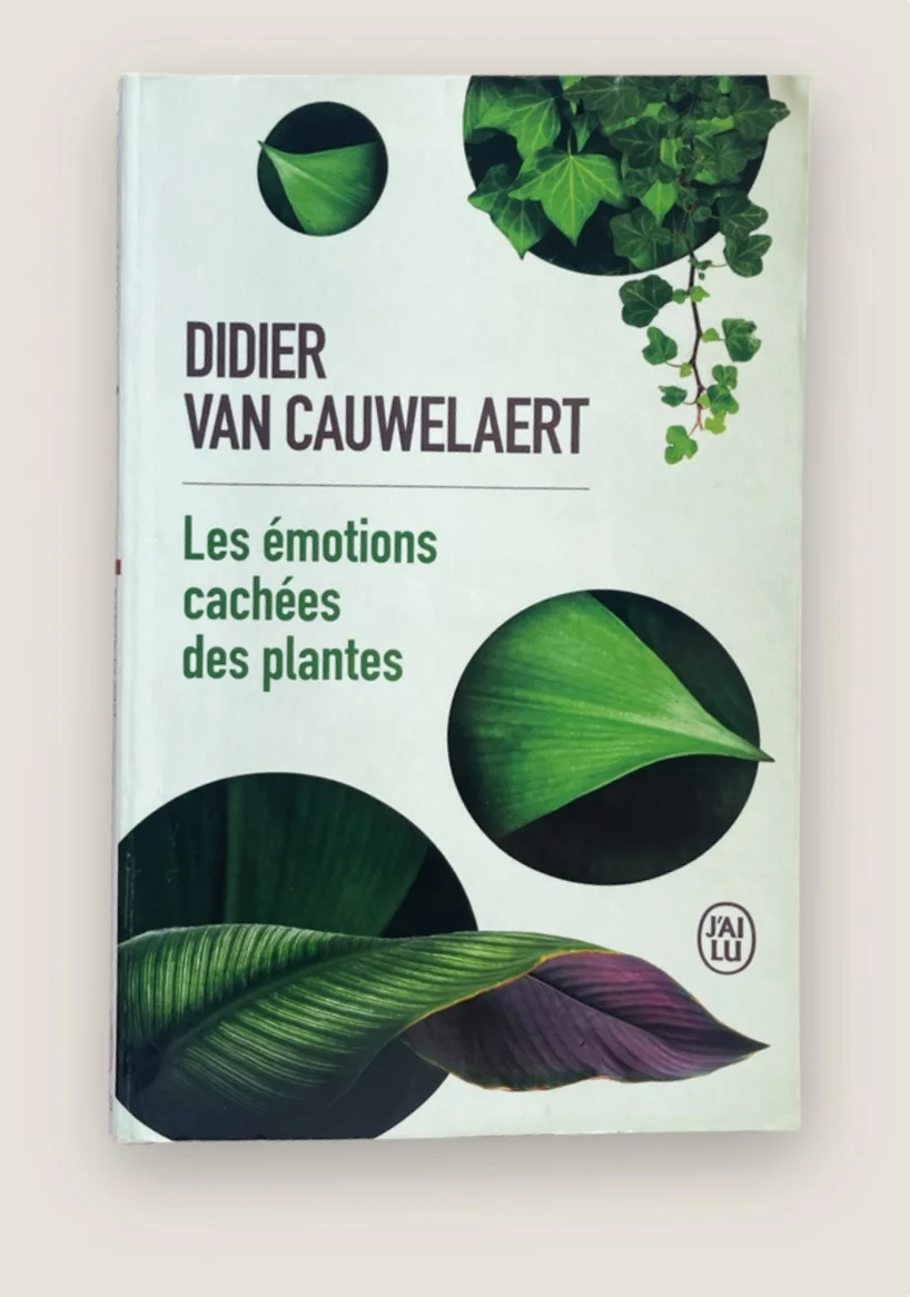 Les émotions cachées des plantes