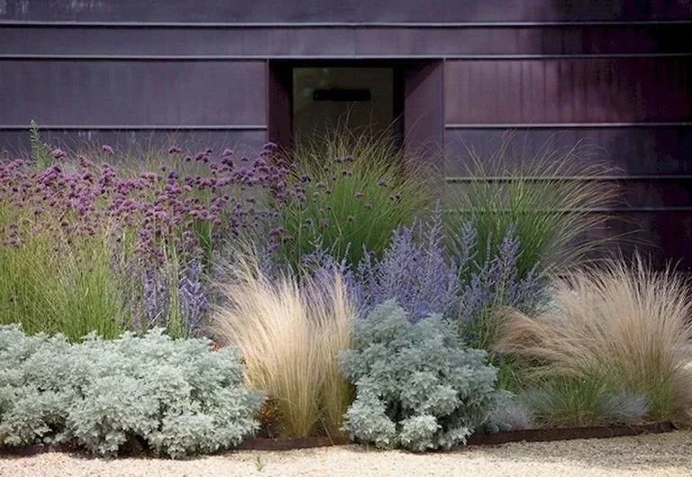 Jardin sec