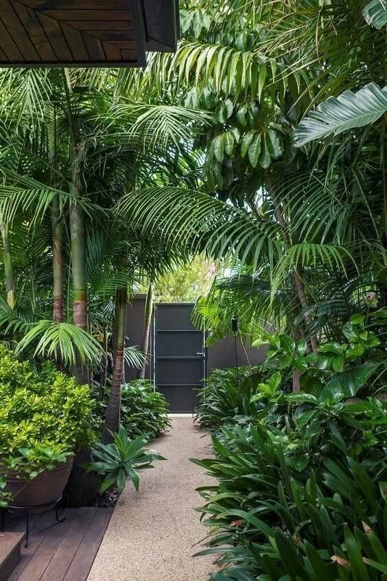 Jardin tropical