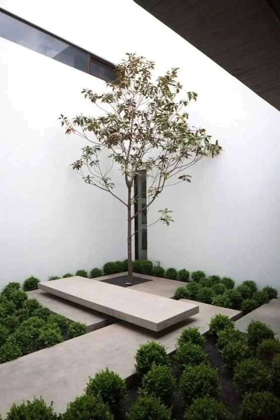 Jardin minimaliste
