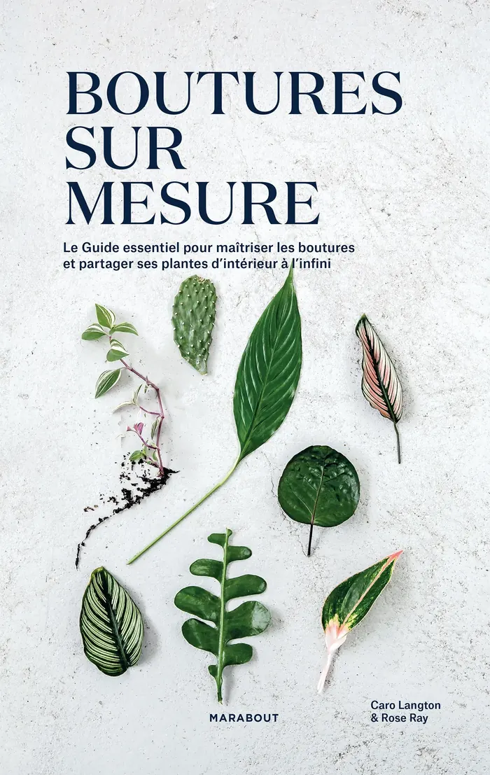 Bouture sur mesure — Caro Langton & Rose Ray